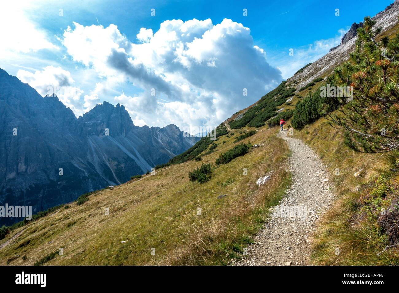 Europa, Österreich, Tirol, Neustift im Stubaital, Stockfoto