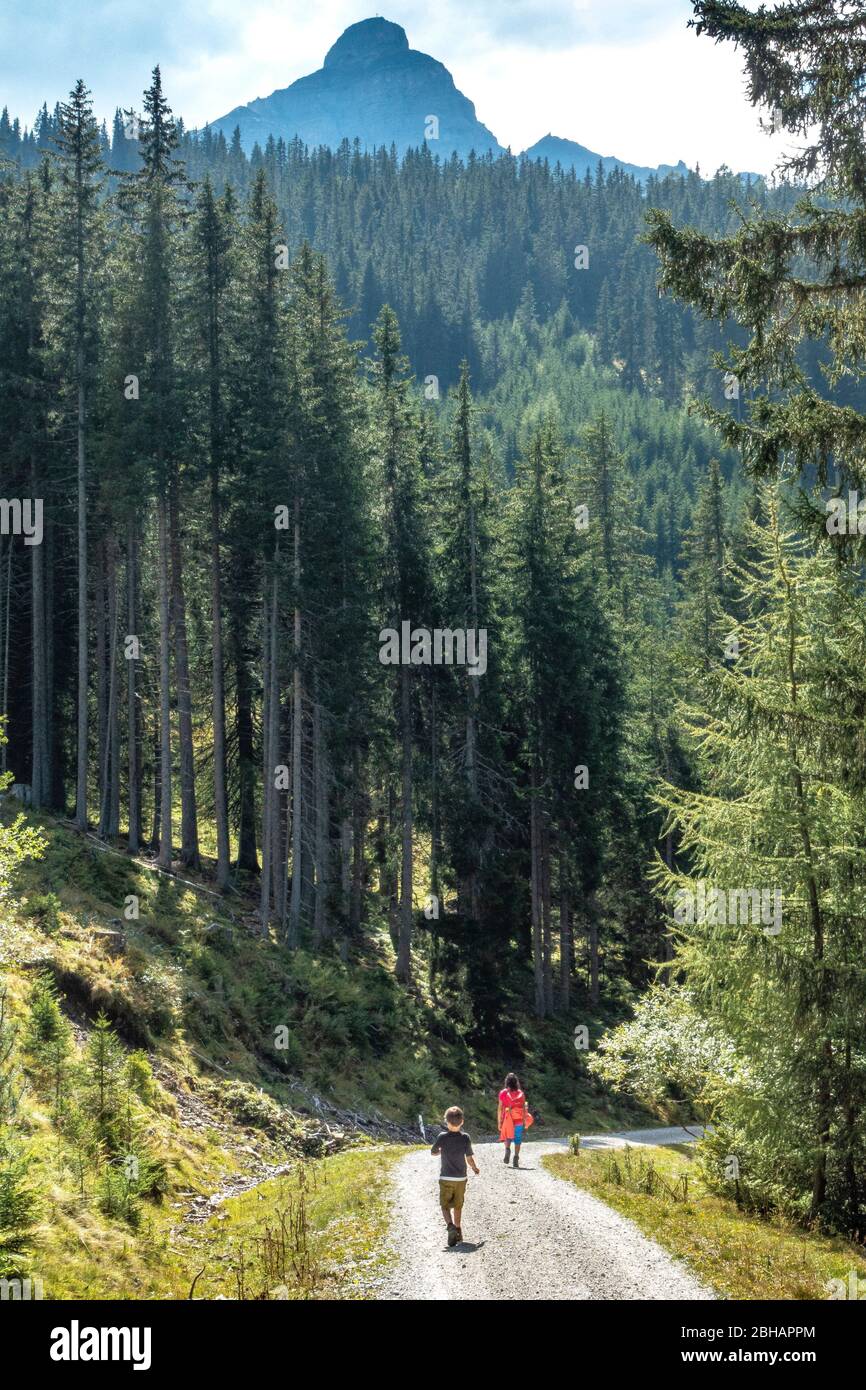 Europa, Österreich, Tirol, Neustift im Stubaital, Stockfoto