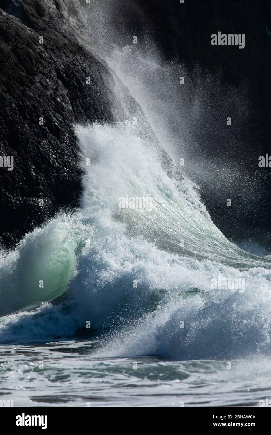 Blick auf Hochwelle, Cape Disappointment State Park, Washington, USA Stockfoto