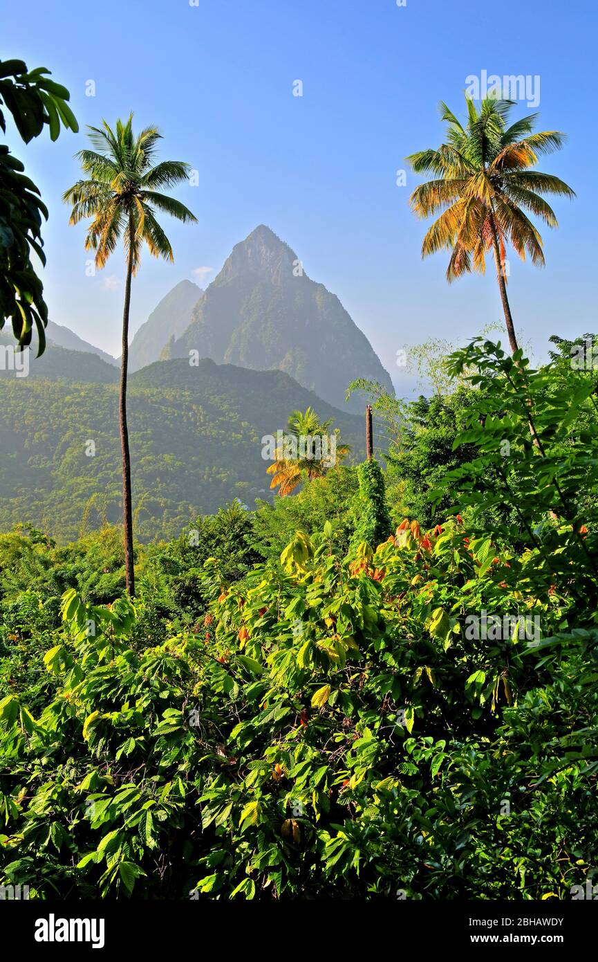 Landschaft mit den zwei pitons Fotos und Bildmaterial in hoher