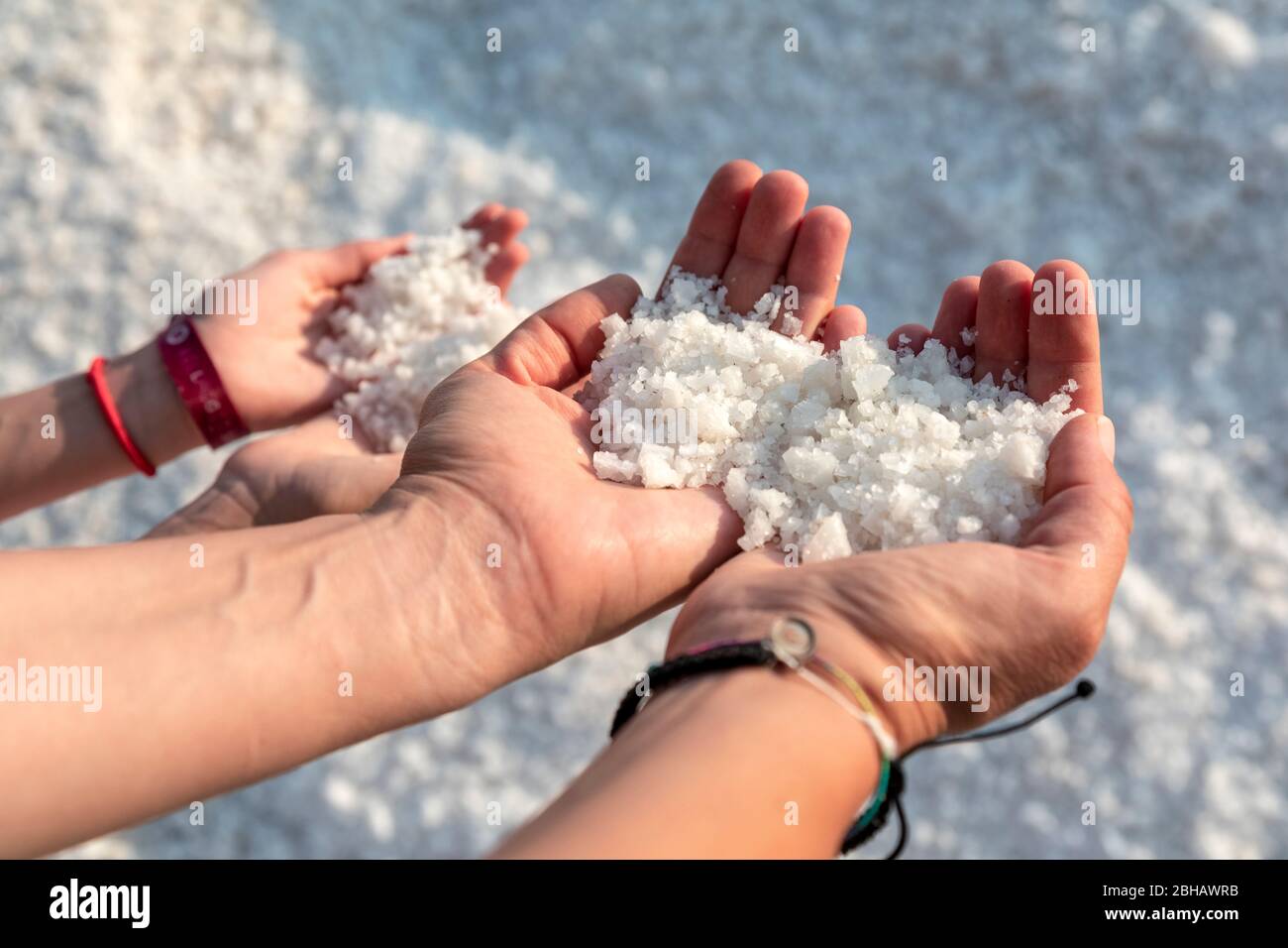 Salz in den Händen gesammelt, das fertige Produkt der nin Salzpfannen, Nin, Dalmatien, Zadar Land, Kroatien Stockfoto