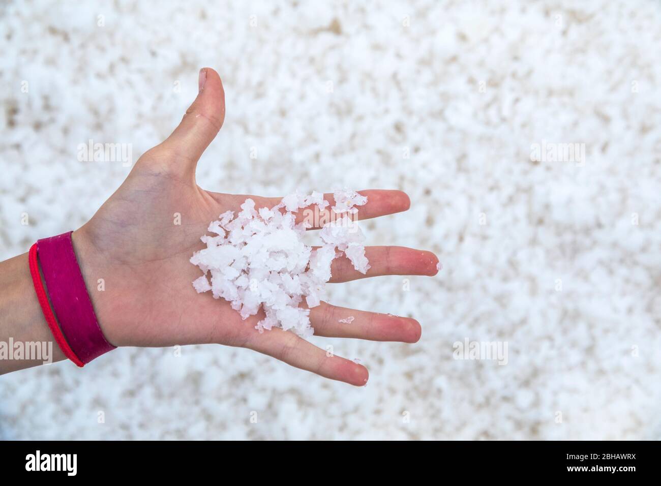 Salz in den Händen gesammelt, das fertige Produkt der nin Salzpfannen, Nin, Dalmatien, Zadar Land, Kroatien Stockfoto