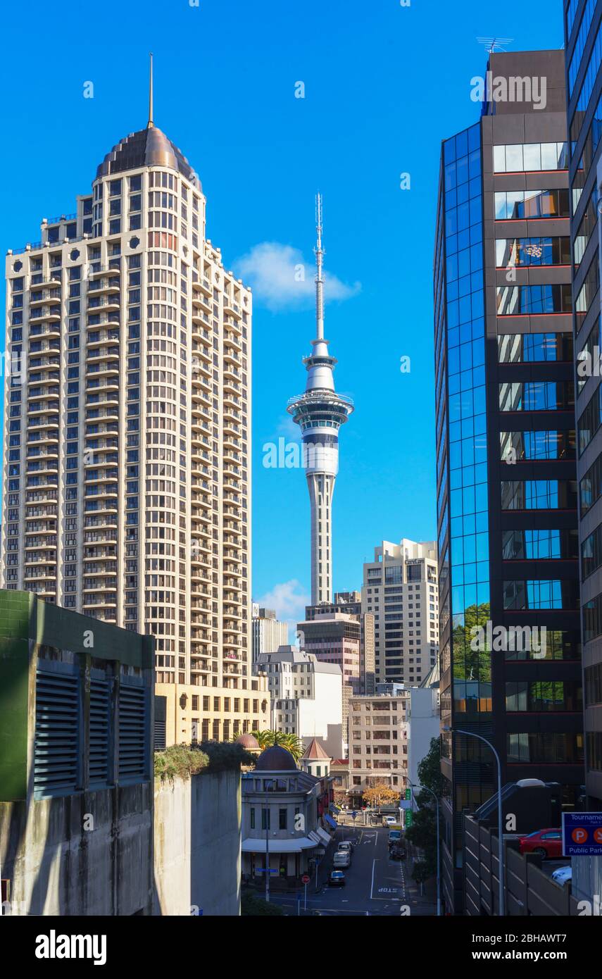 Auckland Sky Tower, Auckland, Nordinsel, Neuseeland Stockfoto