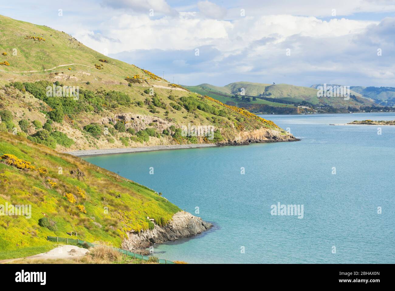 Otago Peninsula, Dunedin, Otago, South Island, Neuseeland, Stockfoto
