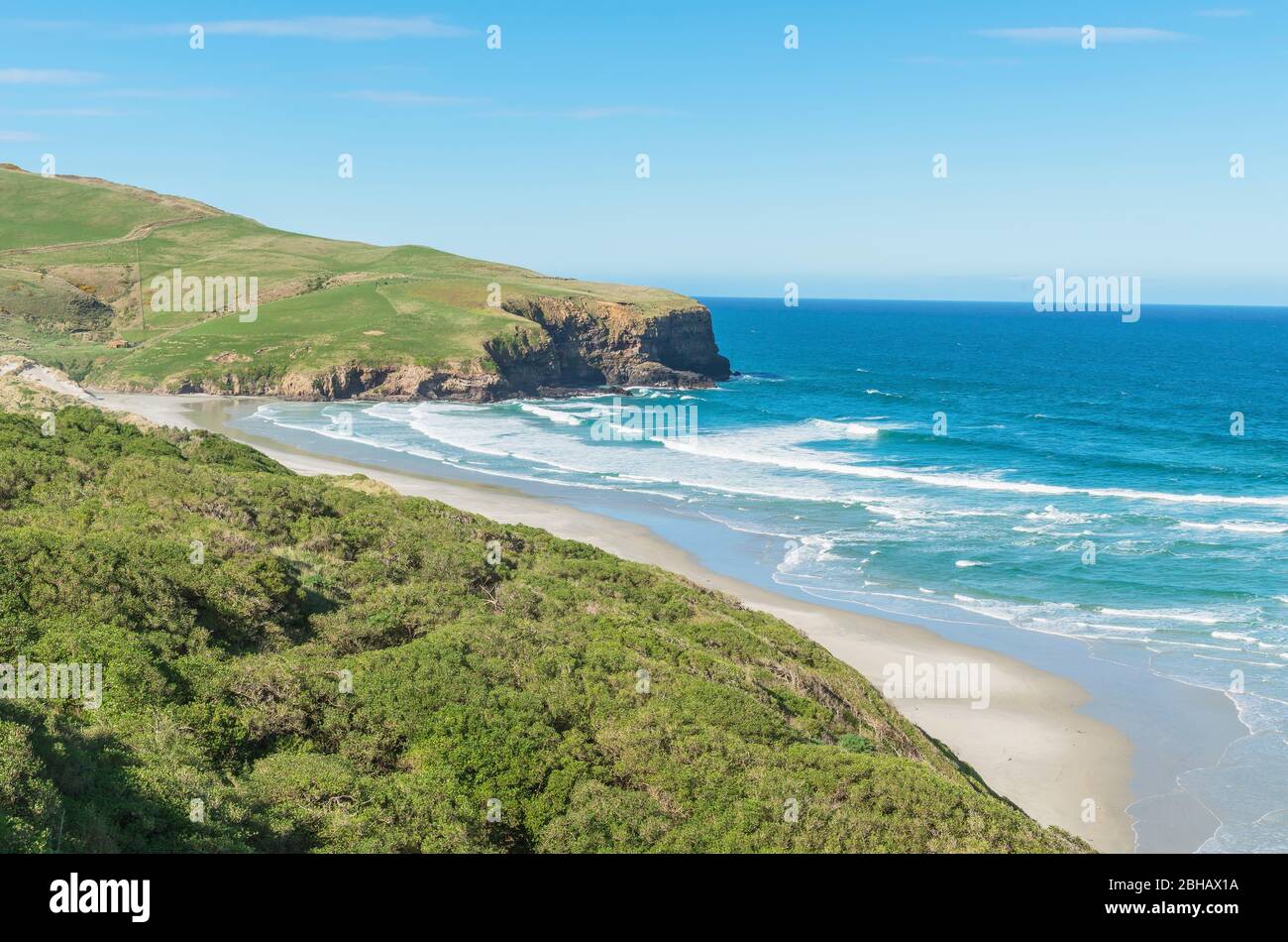 Strand, Otago Halbinsel, Otago, Südinsel, Neuseeland, Stockfoto