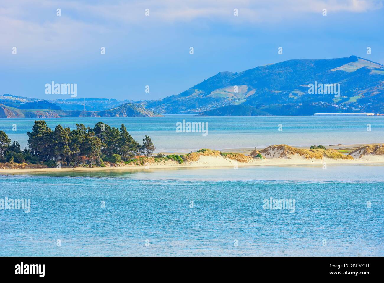 Otago Halbinsel, Dunedine, Otago, Südinsel, Neuseeland, Stockfoto