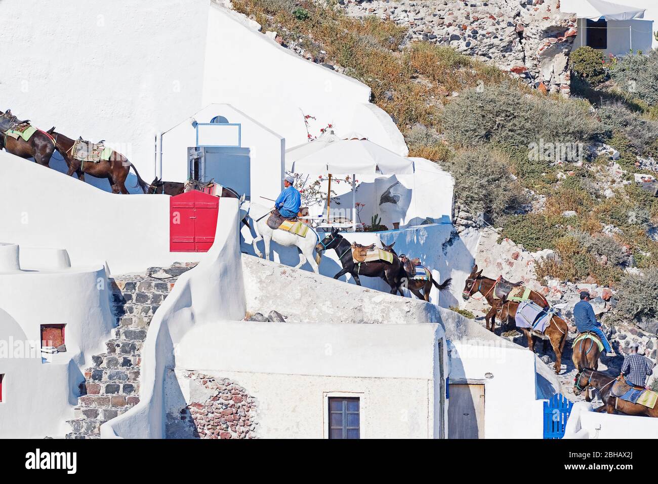 Leute reiten Maultiere eine Treppe hinauf, Oia, Santorini, Kykladen Inseln, Griechenland Stockfoto