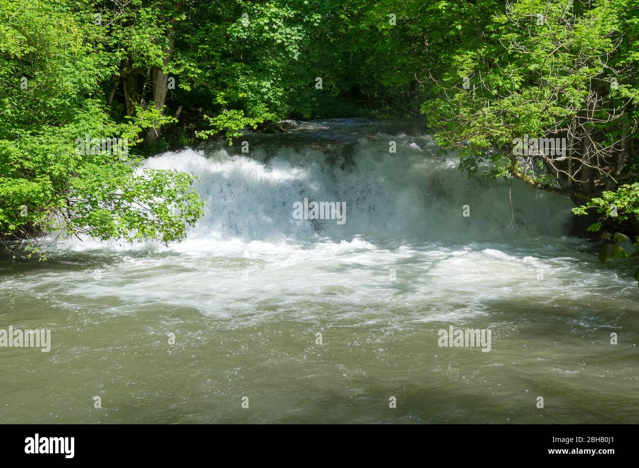 Deutschland, Baden-Württemberg, Hayingen - Anhausen, am Hohen Gießel fällt der lauter über eine 4m hohe Tuffbar. Stockfoto