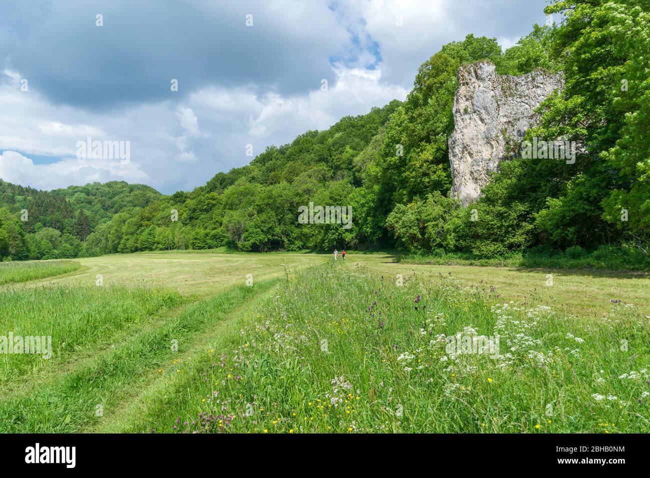 Deutschland, Baden-Württemberg, Hayingen - Anhausen, Wiesen Felsenüberhang Heuscheuerle im NSG Grosses Lautertal, Fernwanderweg Schwäbischer Alb- Südrand- Weg. Stockfoto