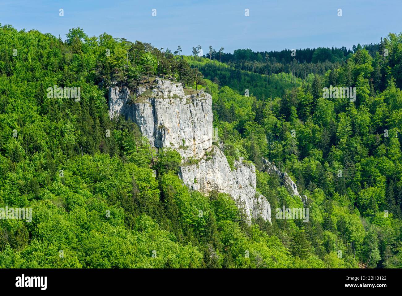 Deutschland, Baden-Württemberg, Leibertingen, Bandfelsen im Naturpark Obere Donau, Schwäbische Alb Stockfoto