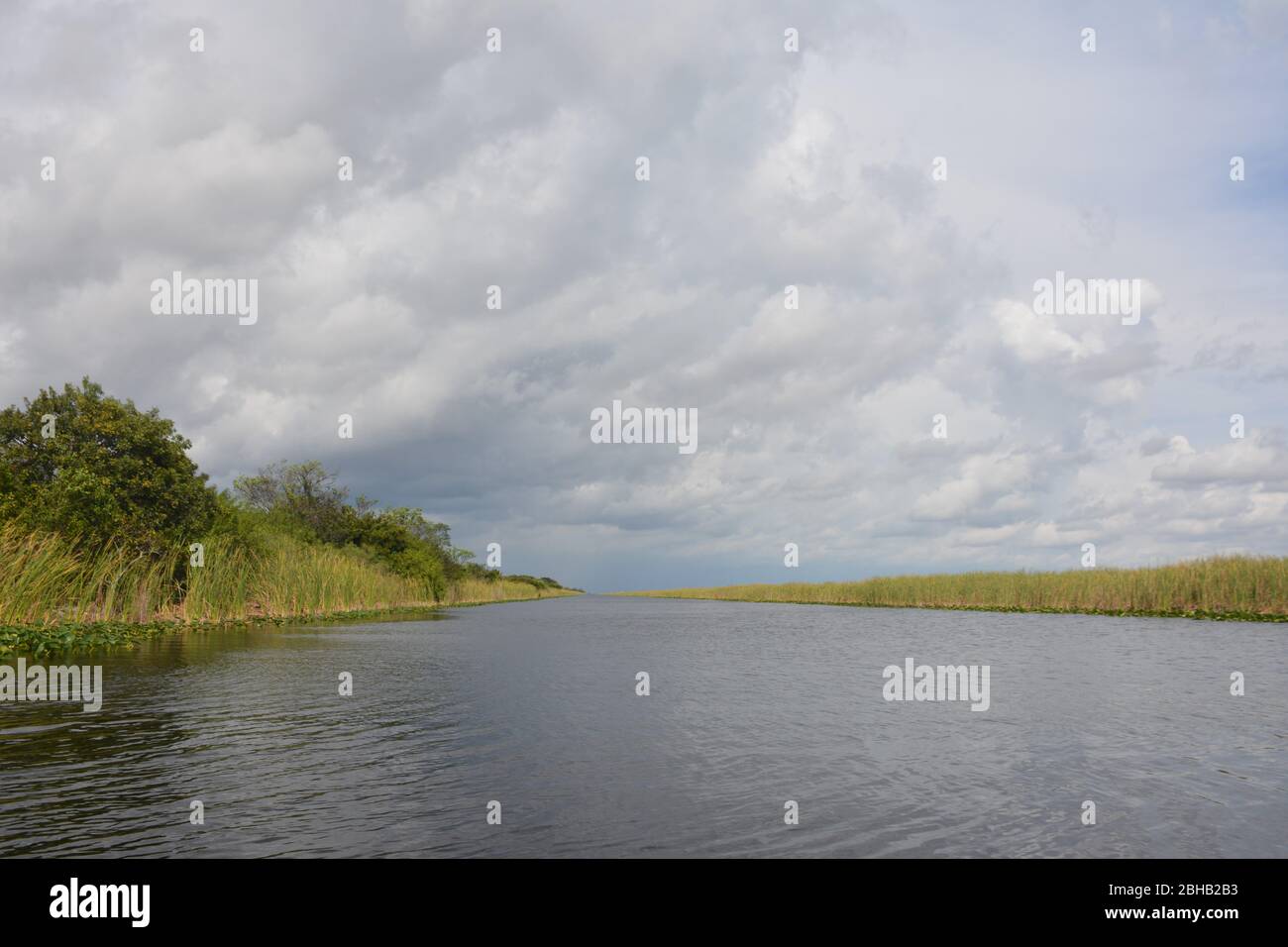 Wolken brauen in einer Januar-Szene von einer Airboat-Tour in Everglades und Francis S. Taylor Wildlife Management Area, Fort Lauderdale, Florida, USA. Stockfoto