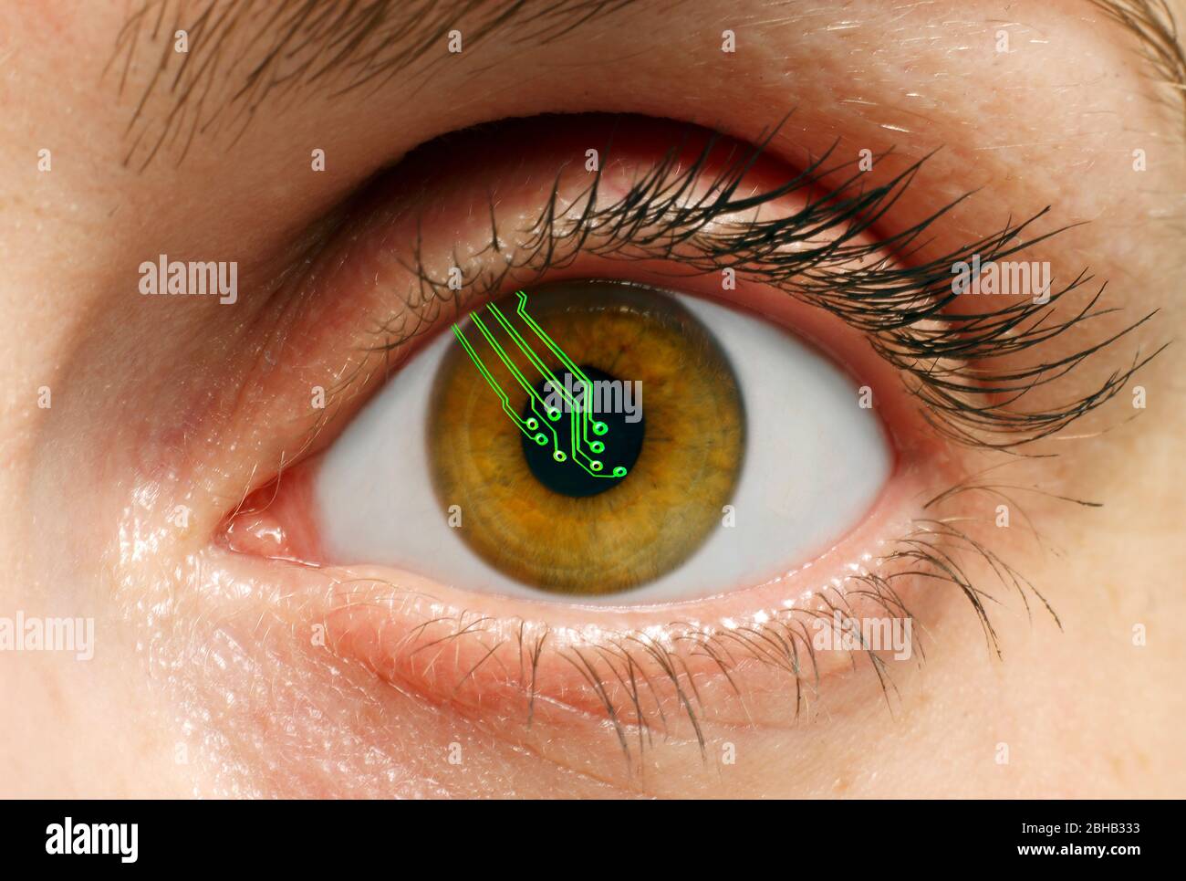 Bionisches Auge, konzeptuelles Komposit-Bild. Stockfoto