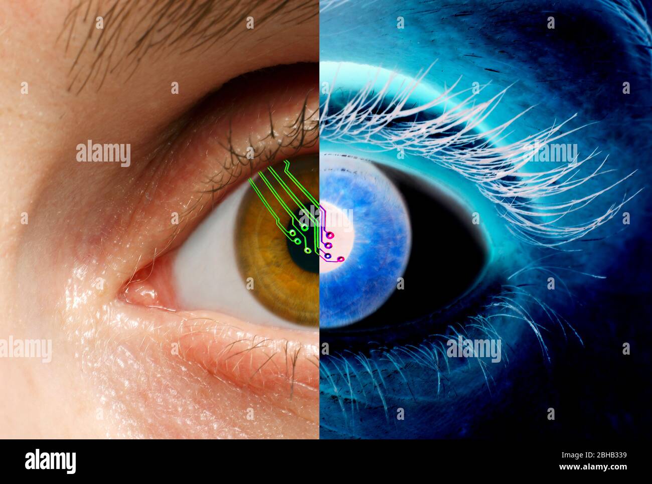 Bionisches Auge, konzeptuelles Komposit-Bild. Stockfoto