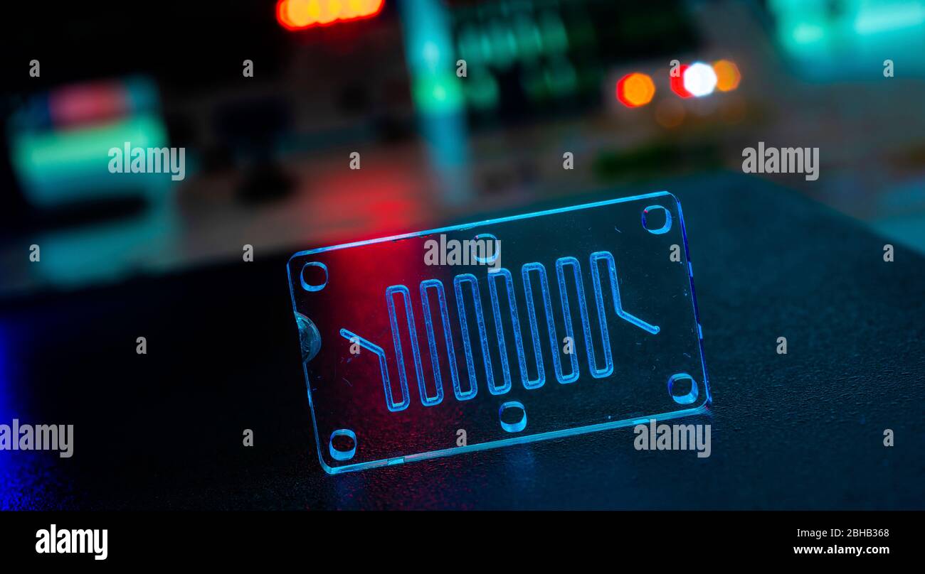 Organ-on-a-Chip. Dies ist ein mikrofluidisches Gerät, das biologische Organe simuliert. Stockfoto