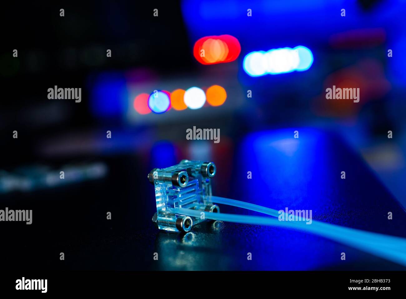 Organ-on-a-Chip. Dies ist ein mikrofluidisches Gerät, das biologische Organe simuliert. Stockfoto