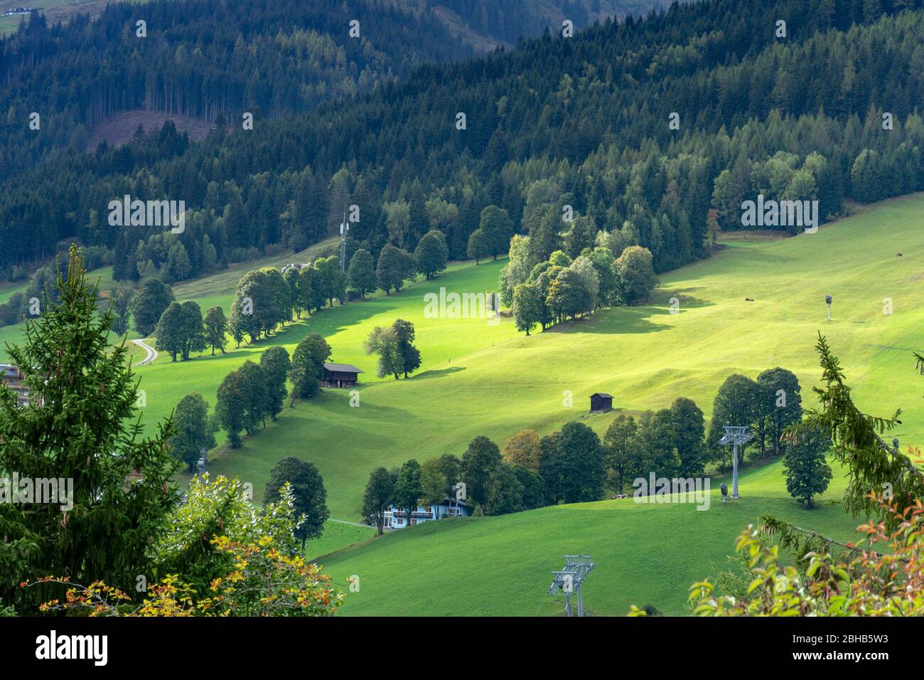 Österreich, Saalbach-Hinterglemm, Sonnenfleck auf einer Wiese bei Saalbach. Stockfoto