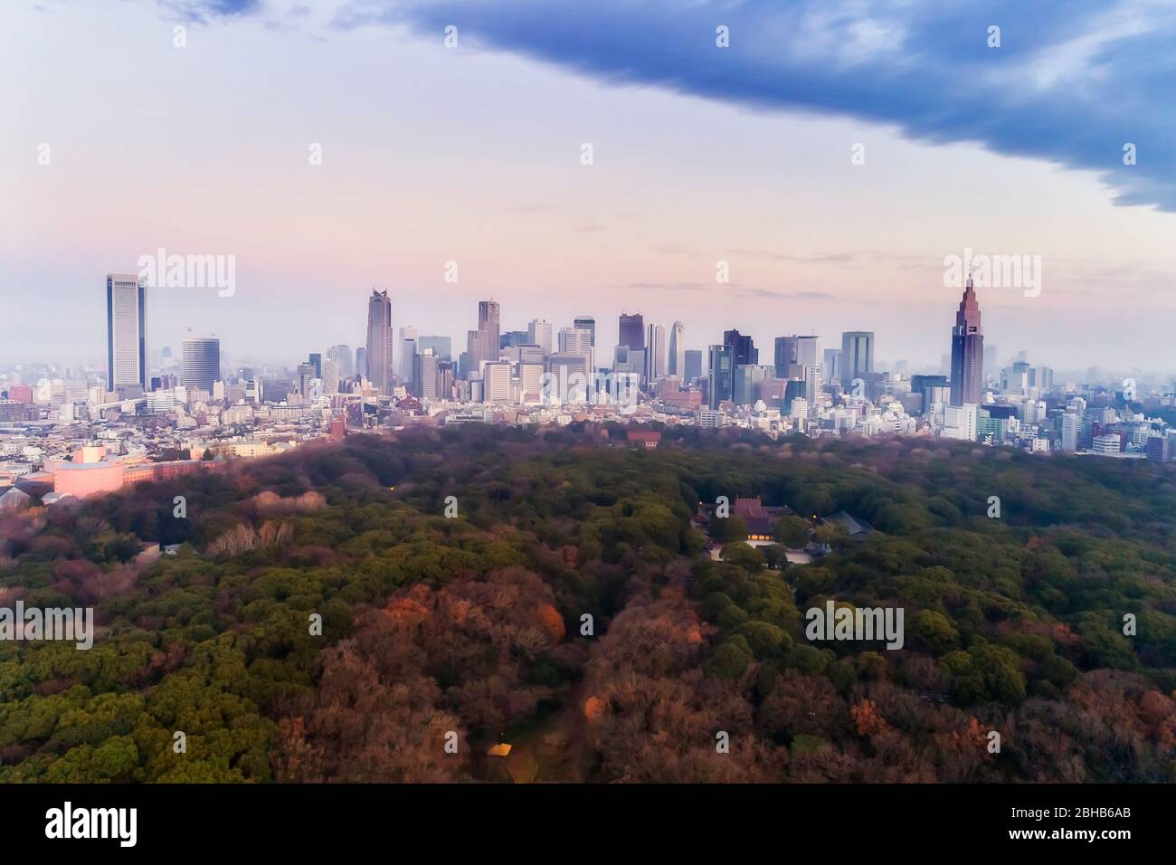 Öffentlicher Park in der Mitte der Stadt Tokio in der Nähe des Shinjuku CBD und der Station in Luftaufnahme bei Sonnenaufgang. Stockfoto
