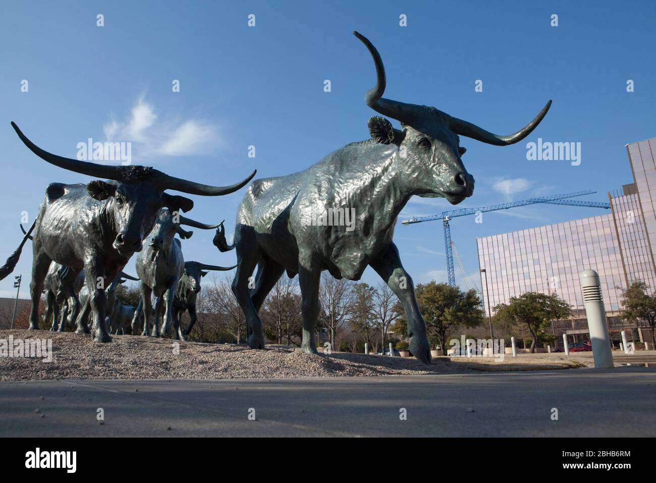 Dallas Texas USA, April 3 2010: Auf der Pioneer Plaza in der Innenstadt von Dallas zeigt die weltweit größte Bronzeskulptur ihrer Art einen Viehtrieb mit drei Cowboys und einer Herde von 50 Langhornlenkern. Jedes Stück wurde vom Künstler Robert Summers von Glen Rose, TX, geschaffen. Die Skulptur befindet sich auf dem Gelände des Shawnee Trail, der im Jahr 1850s ein beliebter Viehweg war. ©Bob Daemmrich Stockfoto