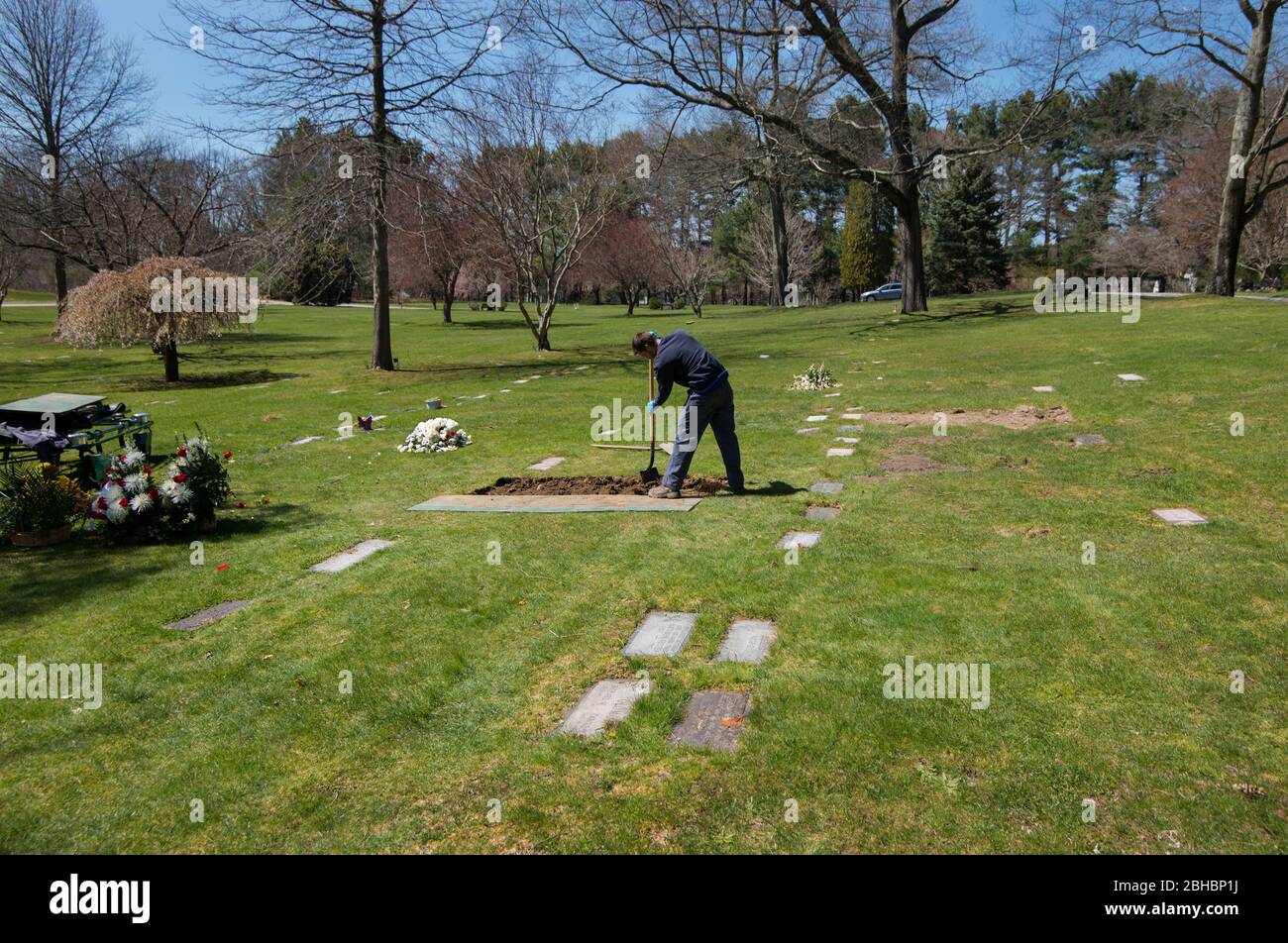 Westview Cemetery, Lexington, Massachusetts, USA, 04/23/2020. Friedhofarbeiter beendet das neue Grab des Menschen, der natürlich des Alters gestorben ist. Aufgrund des COVID-19 / Coronavirus-Pandemiezustandes sind die Personen zum Zeitpunkt der Beerdigung durch Notbestellungen auf dem Grabplatz eingeschränkt und es wird verlangt, dass das Friedhofspersonal informiert wird, wenn der Verstorbene infolge von COVID-19 gestorben ist. Stockfoto