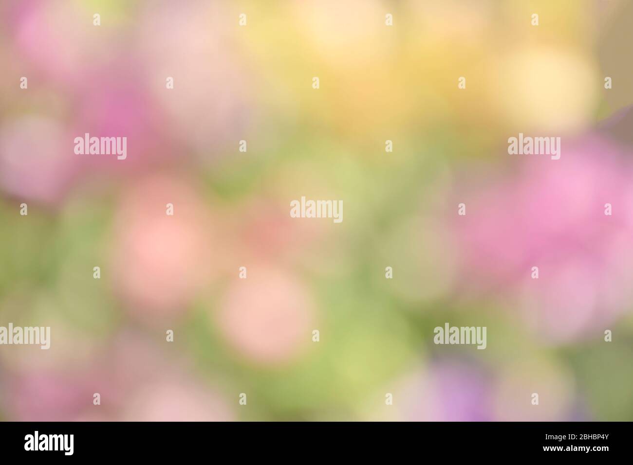 Abstrakter Hintergrund mit Bokeh in Pastelltönen für Frühling, Sommer und blühende Jahreszeiten. Stockfoto