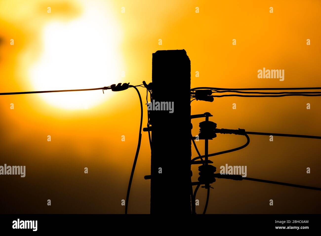 Nahaufnahme Sonnenuntergang und Eletrizitätslinie und Strom Post wtih blauen Himmel Hintergrund Stockfoto