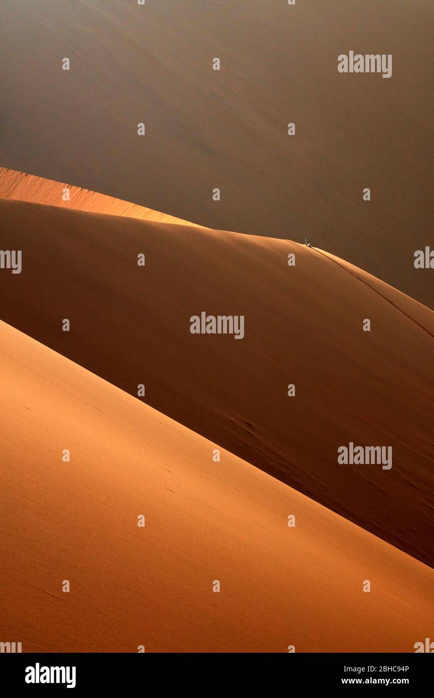 Menschen klettern Sanddünen neben Deadvlei, in der Nähe von Sossusvlei, Namib-Naukluft National Park, Namibia, Afrika Stockfoto