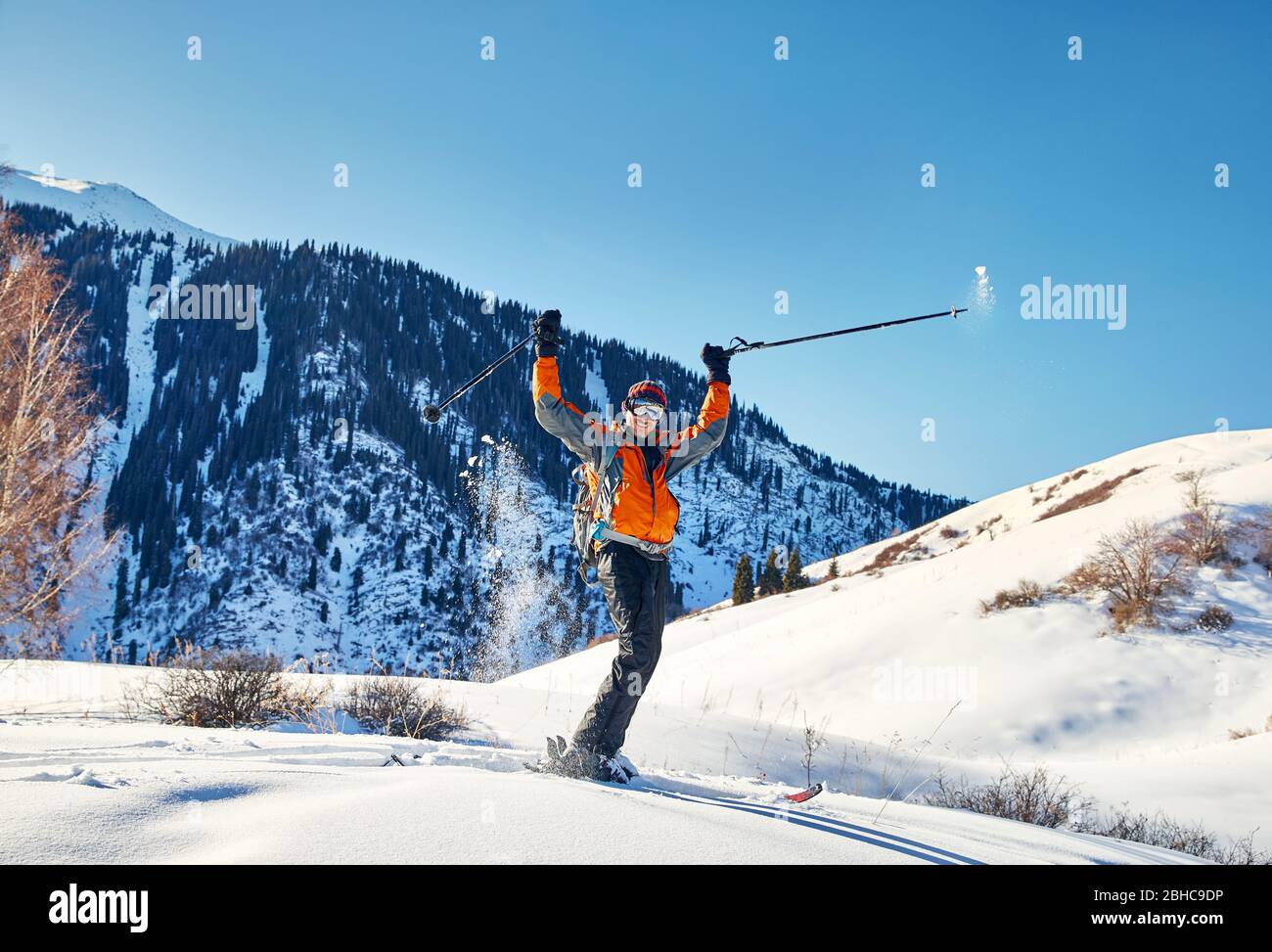 Glücklicher Mann hob seine Hand und Skifahren auf frischen Pulverschnee am Wald im Tien Shan Gebirge, Kasachstan Stockfoto