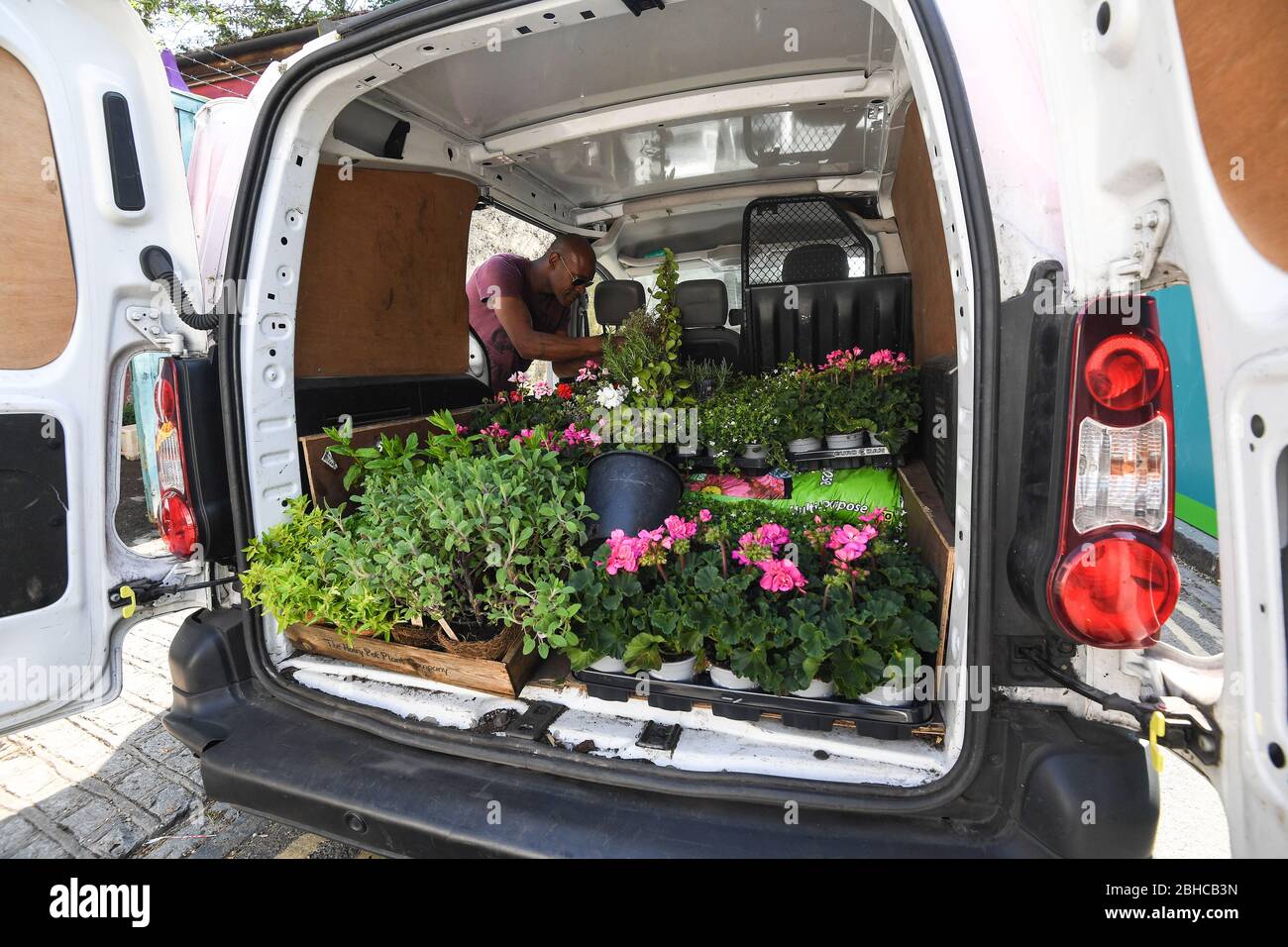 Die Pflanzen werden für die Auslieferung an der Battersea Flower Station in Battersea, London, vorbereitet. Stockfoto