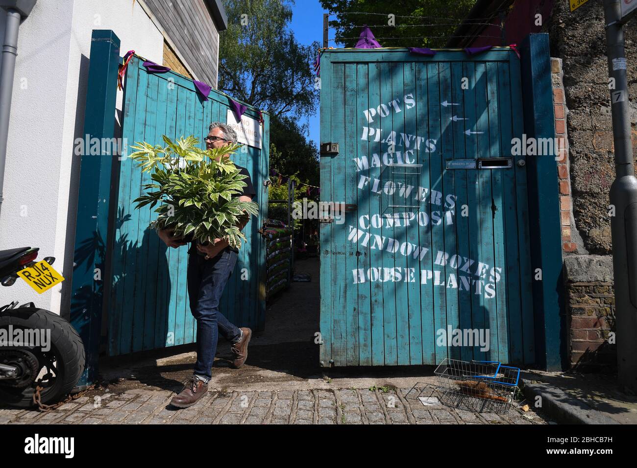 Besitzer John Schofield bereitet Pflanzen für die Lieferung an Battersea Flower Station in Battersea, London vor. Stockfoto