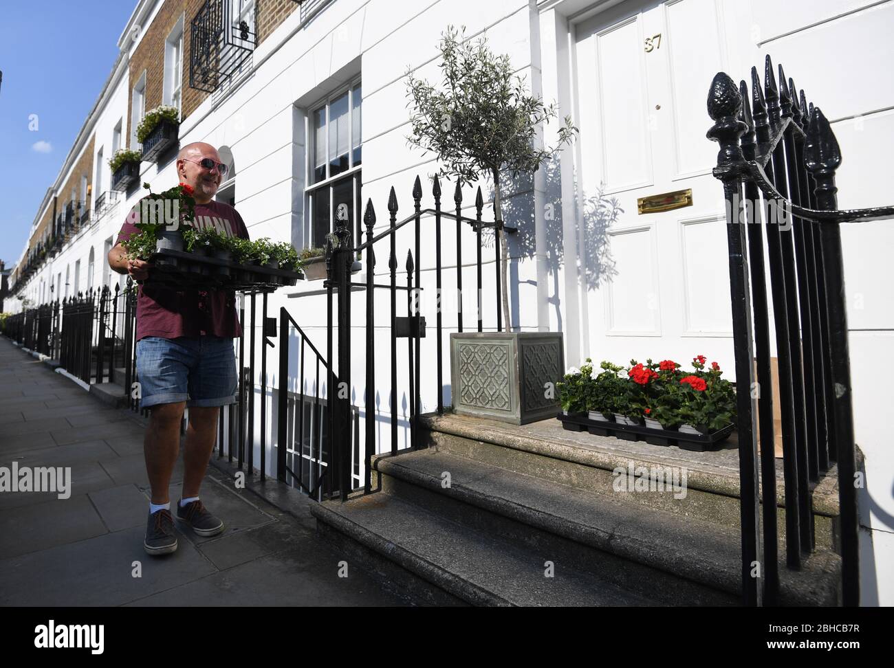 Battersea Flower Station Gardener Jules ward liefert Anlagen an einen Kunden in Chelsea, London. Stockfoto
