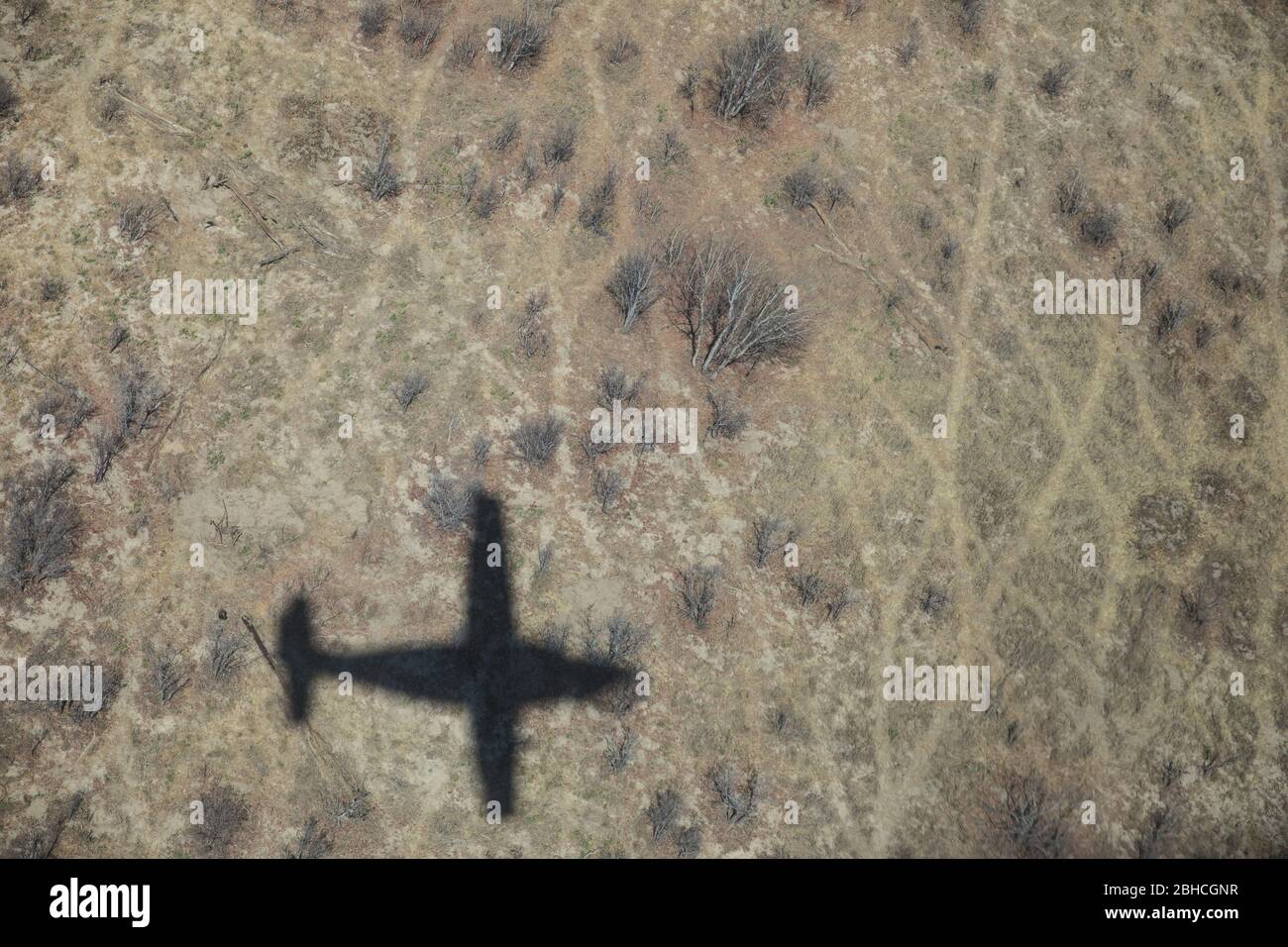 Safari Camps in den Savannenlandschaften des Hwange National Park, Matabeleland North, Simbabwe, sind mit Charterflügen mit kleinen Flugzeugen erreichbar. Stockfoto