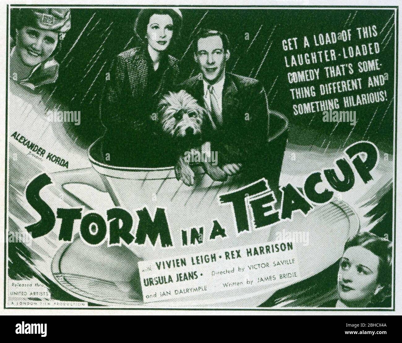 VIVIEN LEIGH REX HARRISON SARA ALLGOOD und URSULA JEANS mit SCRUFFY The Dog in STORM IN A TEACUP 1937 unter der Regie von VICTOR SAVILLE und IAN DALRYMPLE spielen Bruno Frank Moderator Alexander Korda Victor Saville Productions / London Film Productions / United Artists Stockfoto