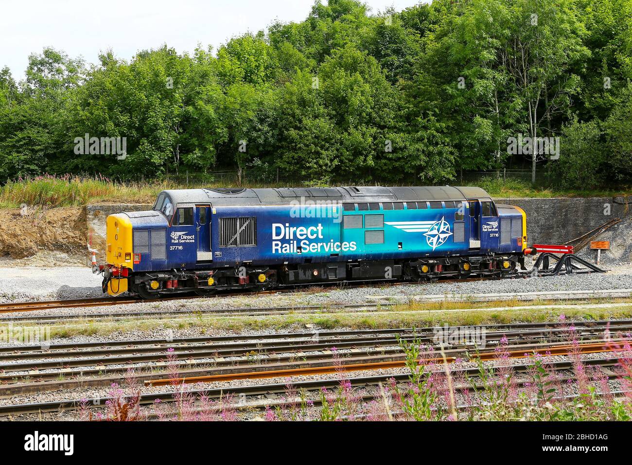 Englisch Electric Typ 3 British Rail Class 37 Diesel Lokomotive Nummer 37716, Derbyshire, England, UK Stockfoto