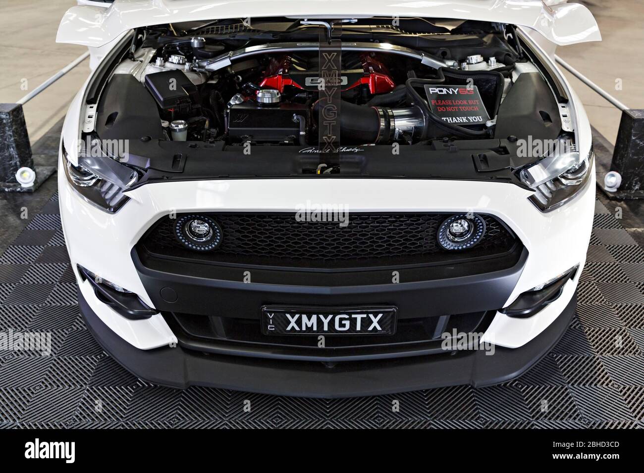 Automobile / American made GTX Ford Mustang auf einer Automobilausstellung in Melbourne Victoria Australien ausgestellt. Stockfoto