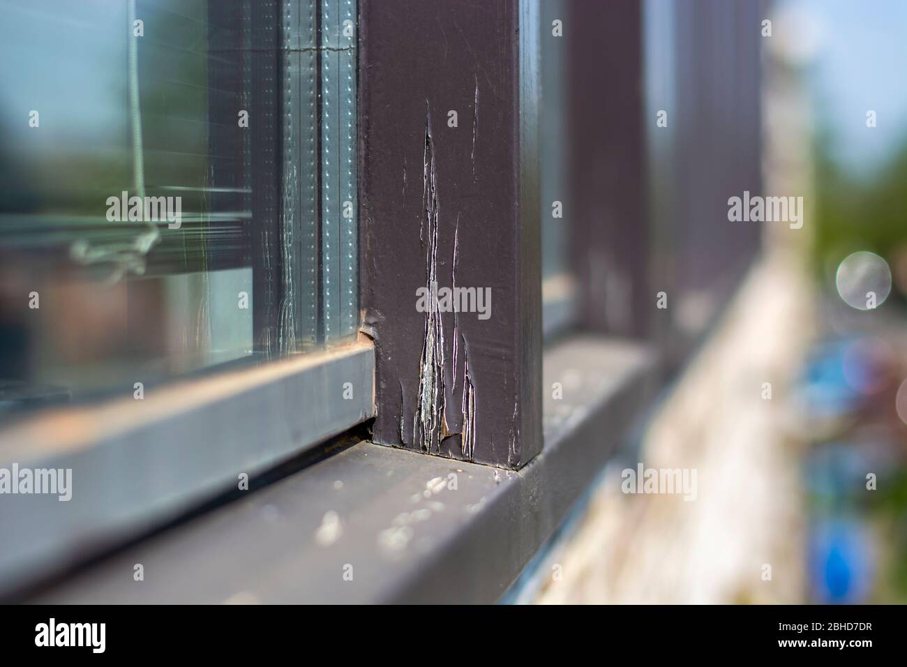 Beschädigte moderne Fensterrahmen in schlechtem Zustand, die renoviert und neu gestrichen werden müssen Stockfoto