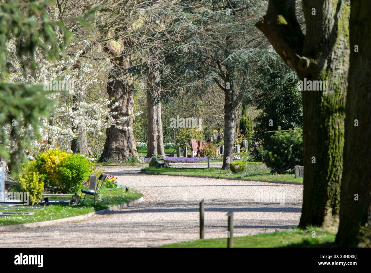 Frühling Auf Dem Nieuwe Ooster Friedhof In Amsterdam Niederlande 2020 Stockfoto