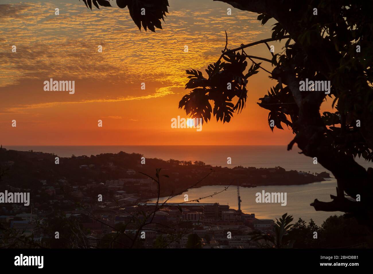 Schöne atemberaubende Sonnenuntergang Fotografie zeigt eine Port Silhouetten von Bäumen die helle Sonne der orange und blauen Himmel und dunkle Naturlandschaft Stockfoto