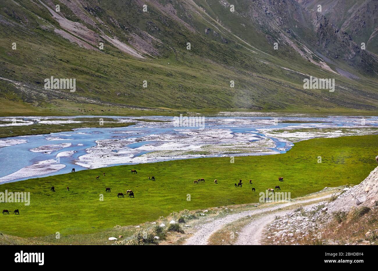 Herde von Pferden in der Nähe des Flusses in der Terskey Alatau Gebirge in Kirgisistan und Zentralasien Stockfoto