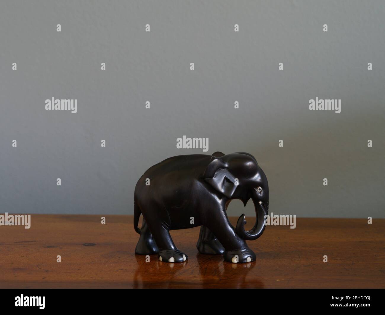 Ebenholz Elefant keine Elfenbein Stoßzähne Stockfoto