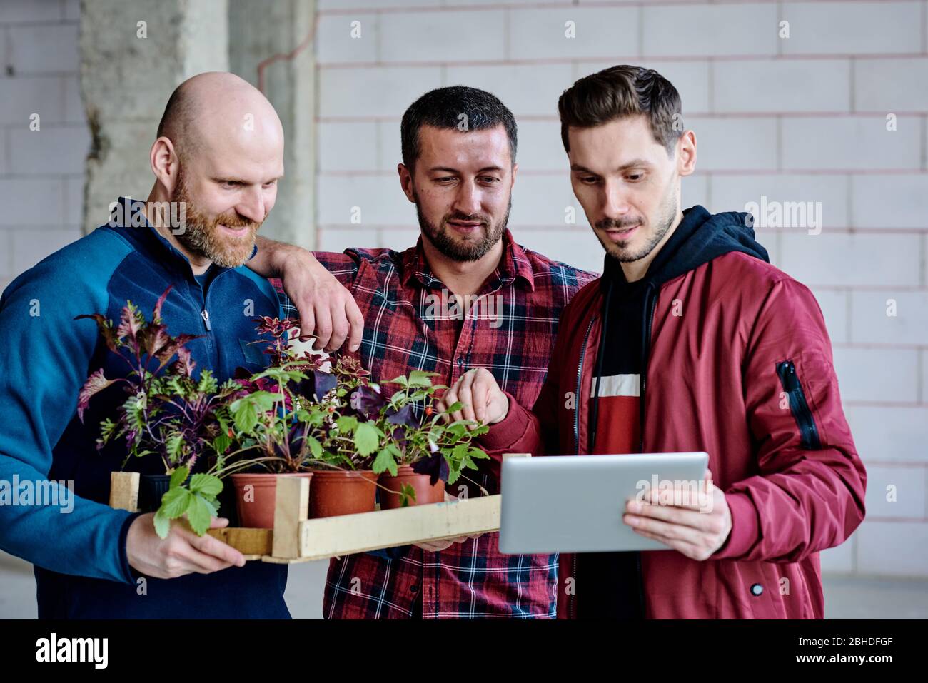 Junge Ingenieure, die sich online Ideen der Dekoration des Innenraums des neuen Hauses mit Pflanzen und diskutieren eine von ihnen bei der Sitzung Stockfoto