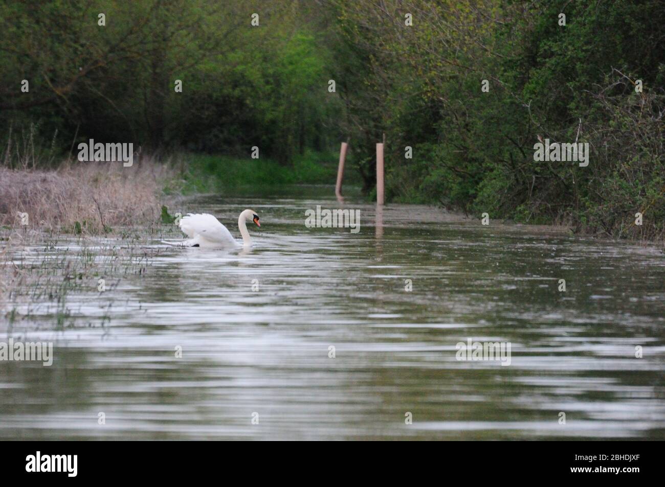 Überschwemmungen in der Landschaft in Gloucestershire Stockfoto