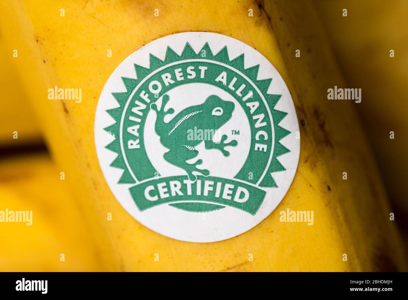 Rainforest Alliance Logo auf einer Banane Stockfoto