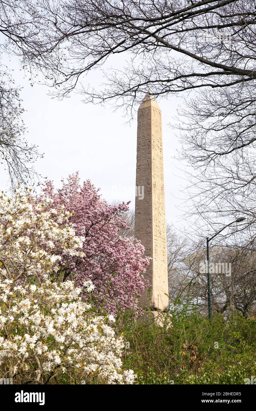 Der Obelisk, auch bekannt als Cleopatra's Needle, im Central Park, New York City. Stockfoto