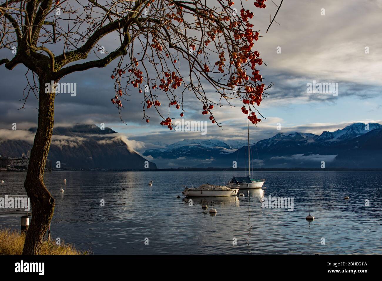 Späte Nacht Des Genfer Sees Stockfoto