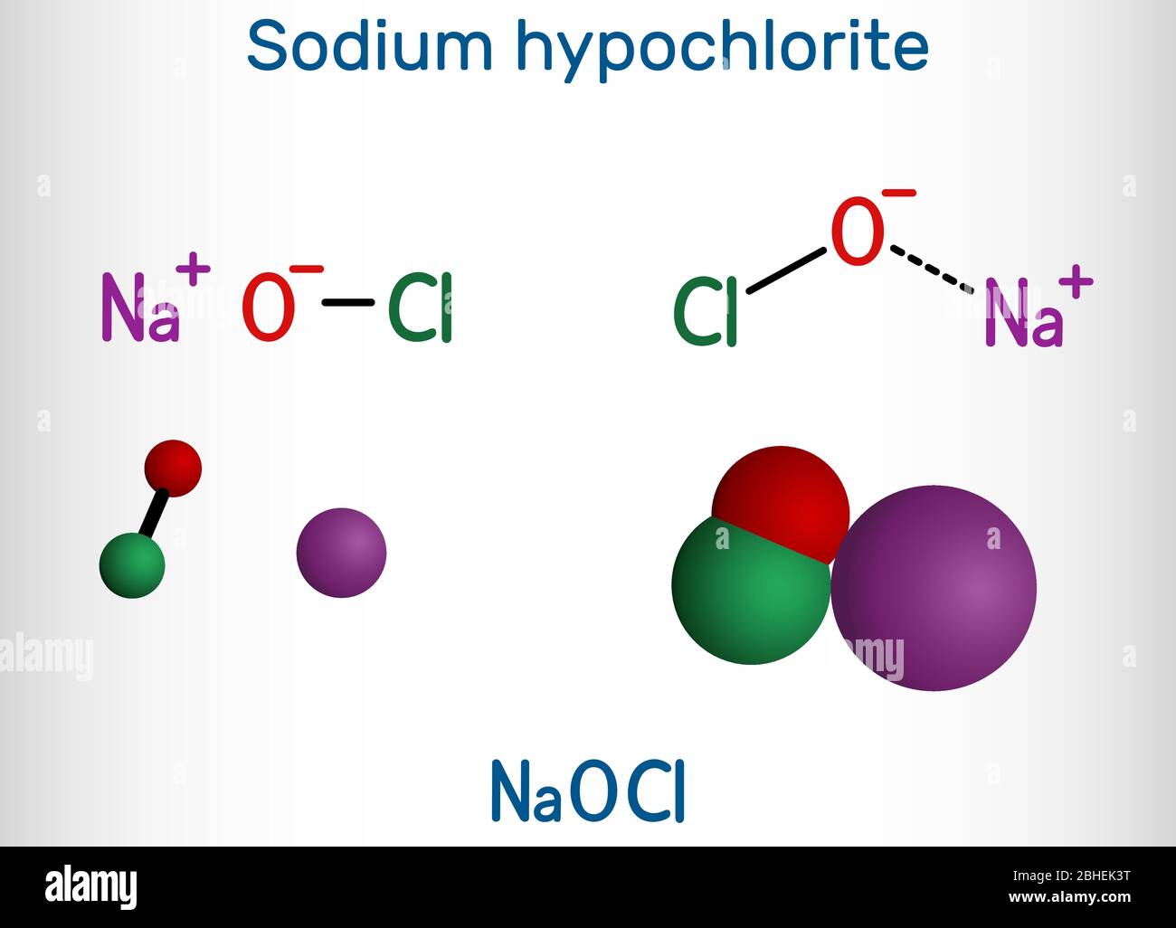Natriumhypochlorit, NaOCl-Molekül. Es enthält eine Natriumkation und ein  Hypochlorit-Anion. Es wird als flüssiges Bleichmittel und  Desinfektionsmittel verwendet. Strukturell Stock-Vektorgrafik - Alamy