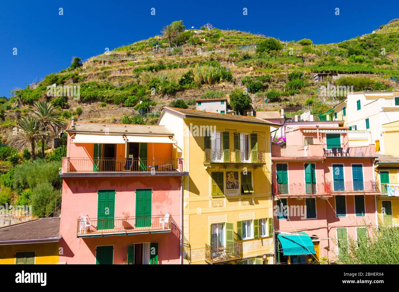 Manarola, Italien, 9. September 2018: Typisch italienische Gebäude Häuser und grüne Weinbergsterrassen im Tal, Dorf Nationalpark Cinque Terre in sonnigen Tag blauen Himmel, La Spezia Provinz, Ligurien Stockfoto