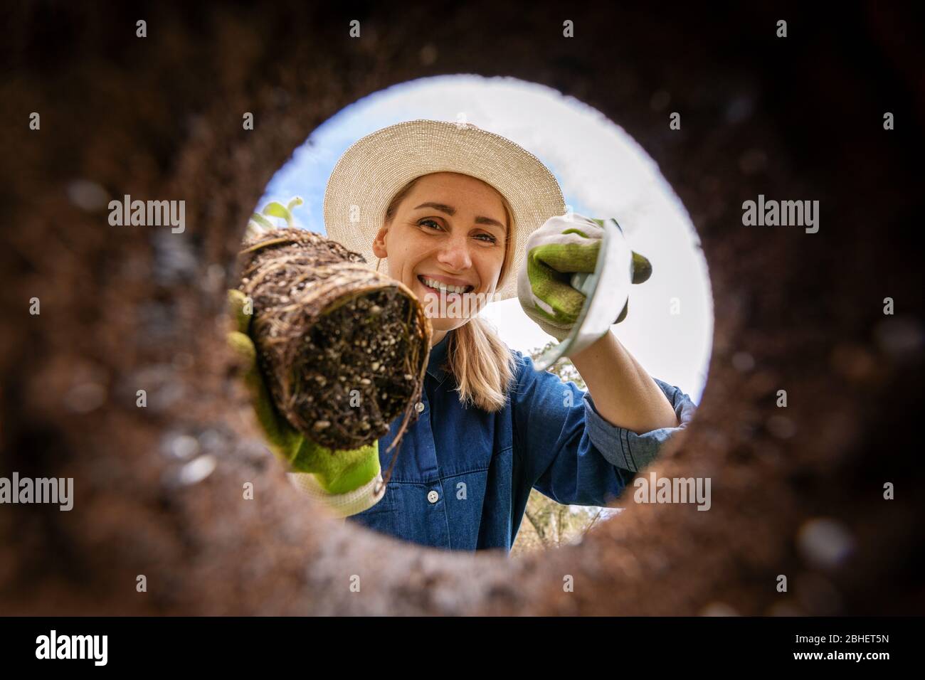Lächelnde Frau, die eine Pflanze in das Bodenloch mit den Blumen legt. Ansicht von unten Stockfoto