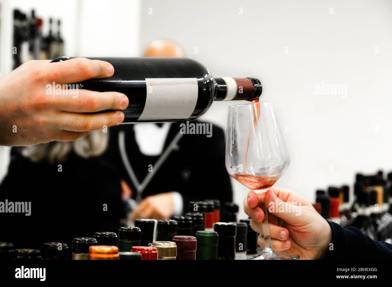 Verkostungserlebnis mit einem Glas Barolo Wein in Alba (Piemont, Italien) Stockfoto