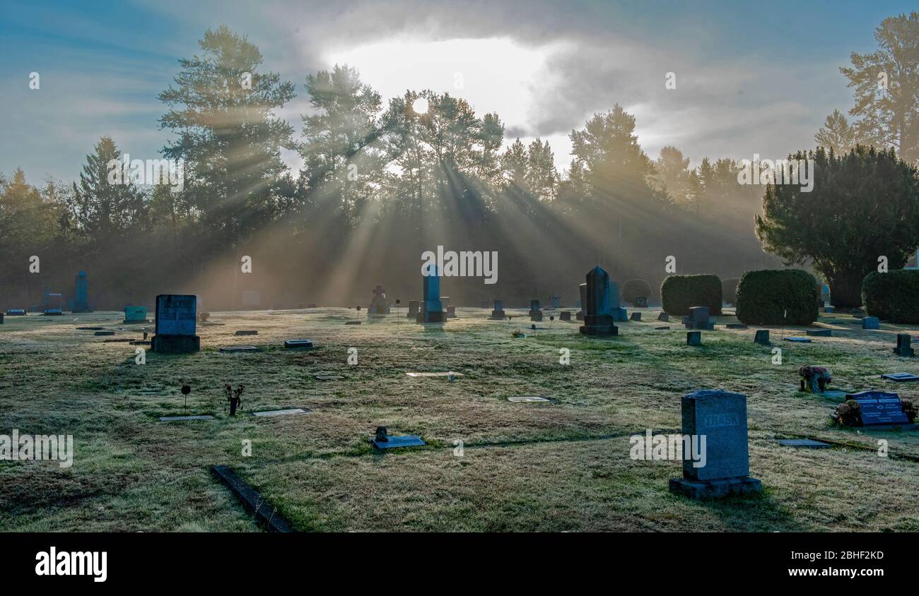 Lichtstrahlen durchdringen den Fir-Conway Lutheran Cemetery Stockfoto