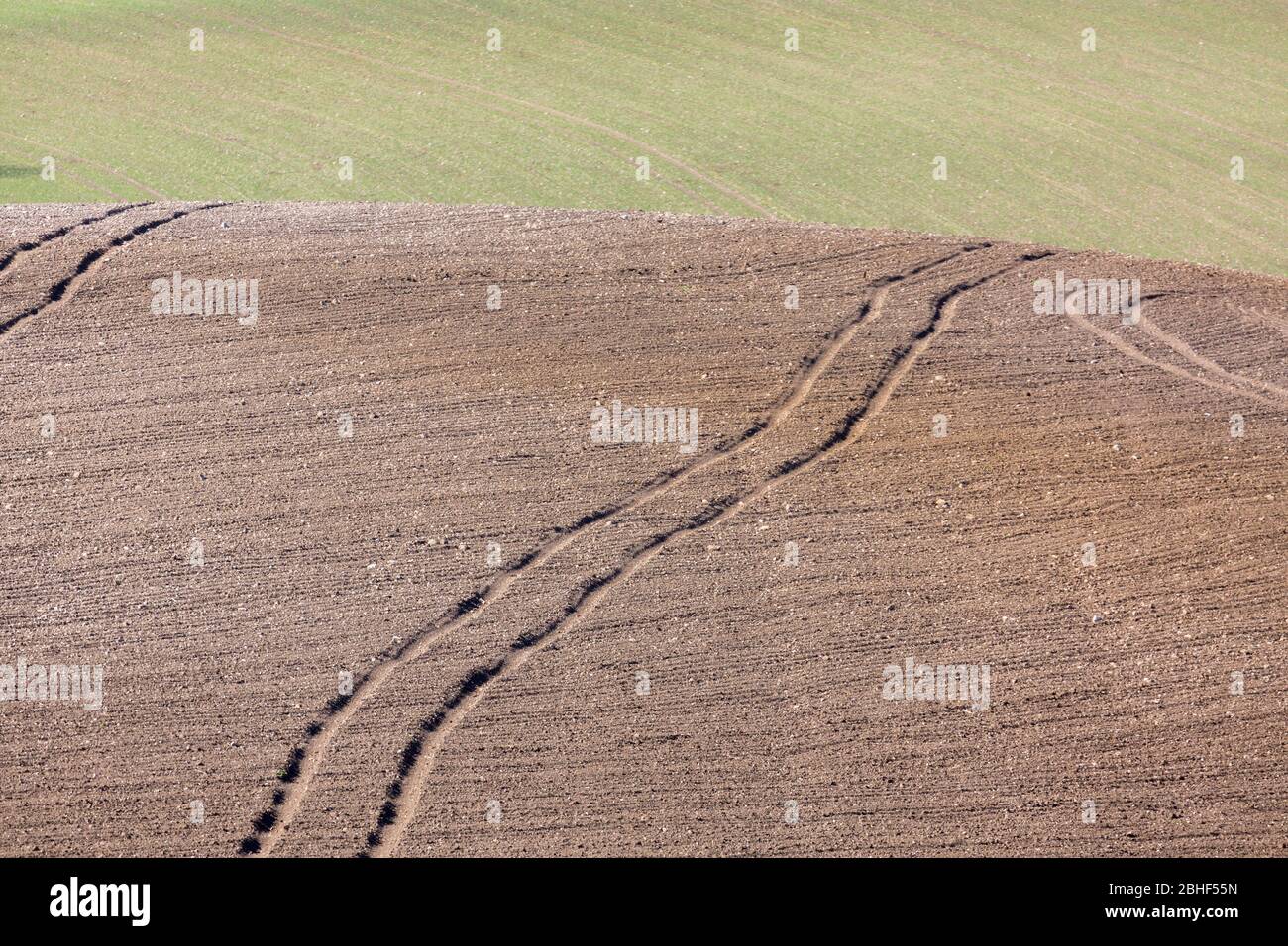 Traktorspuren führen durch ein unbepflanzter Feld. Im Hintergrund ein Feld mit grünen Pflanzen. Konzept für Landwirtschaft und Landwirtschaft. Stockfoto